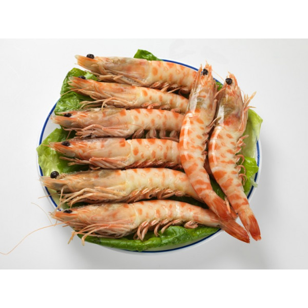 Comprar Langostino Tigre en Sevilla