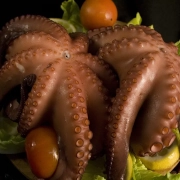 Pulpo recién cocido en nuestras instalaciones