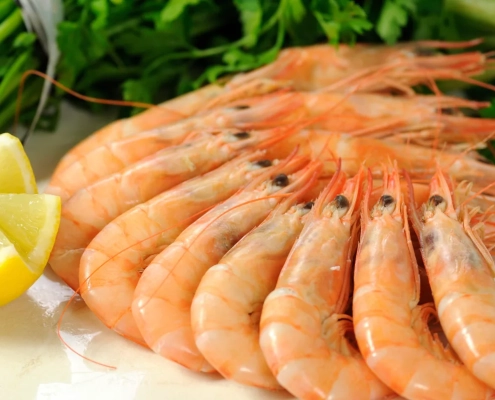 Tienda de Conoce nuestras gambas blancas de Huelva 2 Comprar Conoce nuestras gambas blancas de Huelva en Sevilla