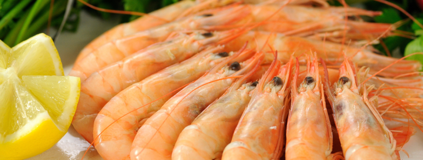 Comprar Conoce nuestras gambas blancas de Huelva en Sevilla